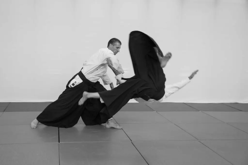 אלי-לרמן-המרכז-הישראלי-לאייקידו